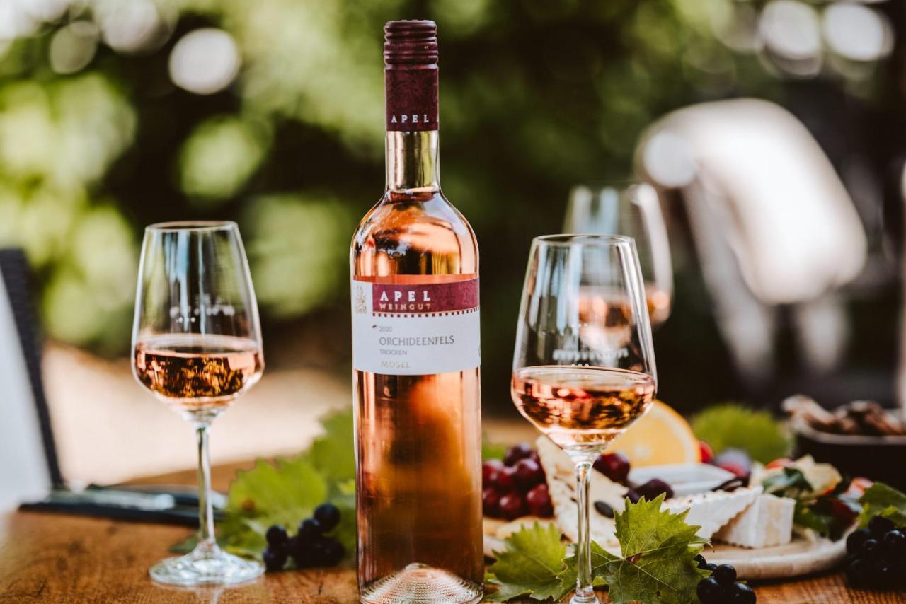 Weingut Und Gaestehaus Apel 니텔 외부 사진