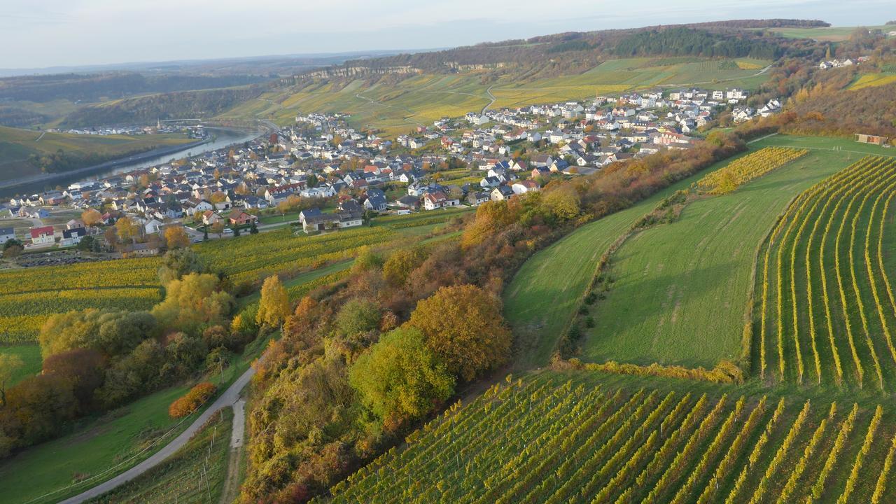 Weingut Und Gaestehaus Apel 니텔 외부 사진