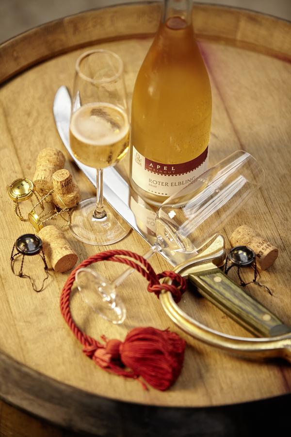 Weingut Und Gaestehaus Apel 니텔 외부 사진
